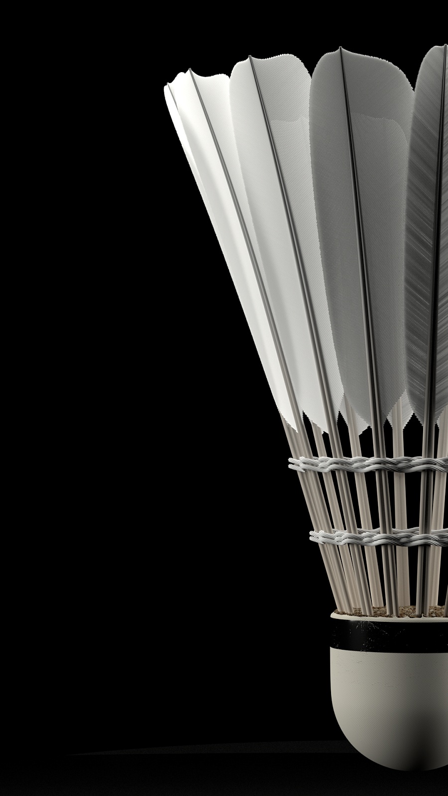 4个篮板的 4个篮板的